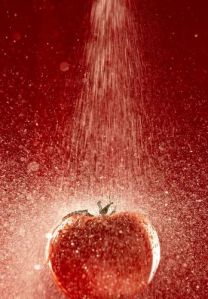 GVEI Dehydrated Tomato Powder