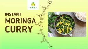 GVEI Instant Moringa Curry Mix