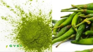 GVEI Dehydrated Green Chilli Powder