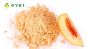 GVEI Dehydrated Muskmelon Powder