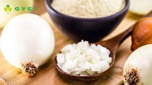 GVEI Dehydrated White Onion Powder