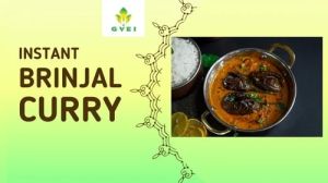 GVEI Instant Brinjal Curry Mix