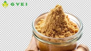 GVEI Spray Dried Ginger Powder