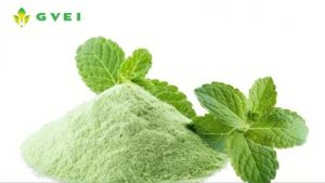 GVEI Spray Dried Mint Powder