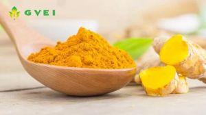 GVEI Spray Dried Turmeric Powder