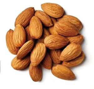 Bitter Almond Nuts