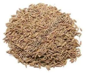 Brown Cumin Seed