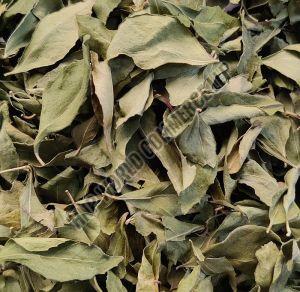 dry curry leaves