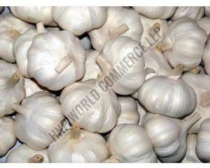 natural Fresh Garlic