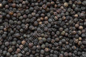 Organic Black Pepper Seeds