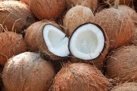 Fresh Brown Coconut