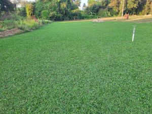 Pearl Grass Mat