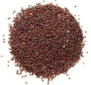 Mustard Seeds