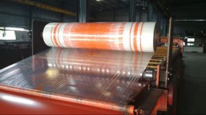 LDPE Surface Protection Film and Roll