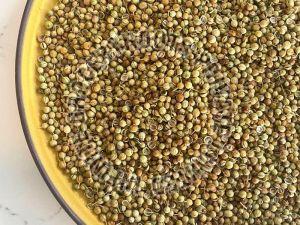 Coriander Seed