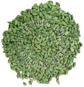 Green Cardamom