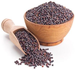 Brown Mustard Seeds