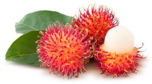 Fresh Rambutan Fruit