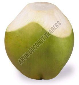 Tender Coconut