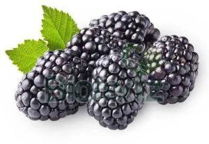 Fresh Blackberry