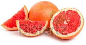 Fresh Grapefruit