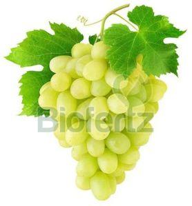 Fresh Green Grapes