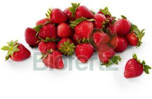 Fresh Strawberry