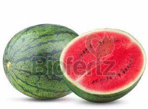 Fresh Watermelon