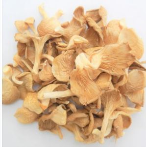 Dry Oyster Mushroom