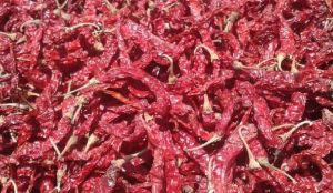 Byadgi Dry Red Chilli