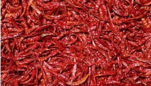 Guntur Dry Red Chilli