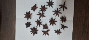 Star anise 1st quality