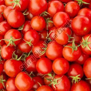 A Grade Red Tomato