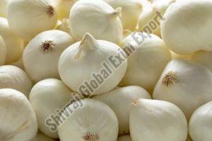 A Grade White Onion