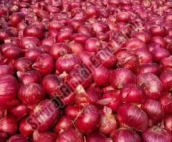 Fresh Red Onion