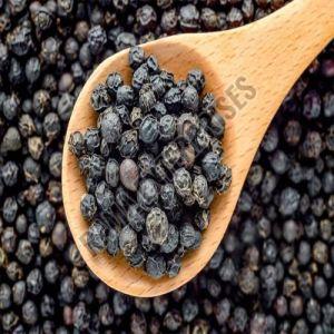 Black Pepper Seeds