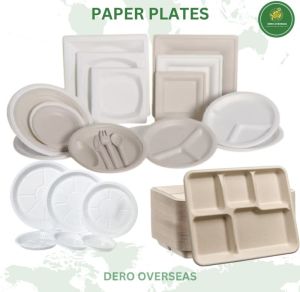 Paper Plates