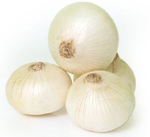 Fresh White Onion