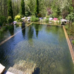 Biofilter Pool Design Services