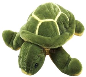 Turtle Soft Toy