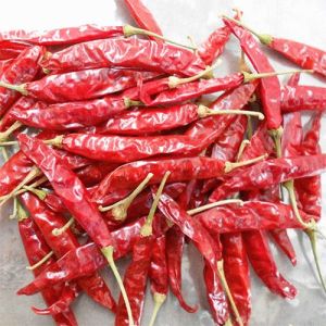 334 Dried Red Chiili