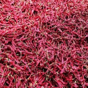 Syngenta Dried Red Chilli