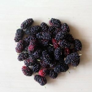 Dehydrated Mulberries