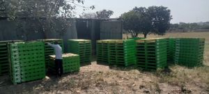 ISPM15 Heat treated Wooden Pallet