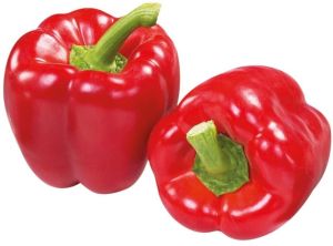 Fresh Red Capsicum