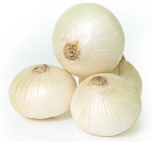 Fresh White Onion