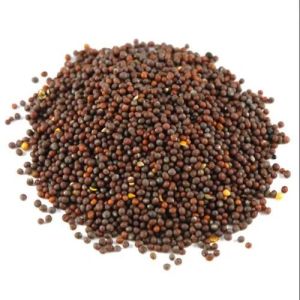 Brown Mustard Seeds