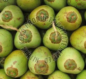 Natural Tender Coconut