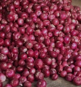 Nashik Fresh Red Onion