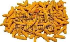 Dried Turmeric Finger